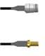 Amphenol Custom Cable Q-1W02Z0008006i