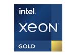 Intel Processeurs Xeon® Gold (3e génération)