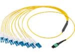 Molex Faisceaux de câbles QSFP-DD 16F
