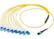 Faisceaux de câbles QSFP-DD 16F