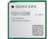 FGH100M Wi-Fi® HaLow Modules