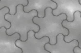 Infographie - Panasonic Industrial Devices Film conducteur transparent EMA0600003B0