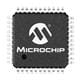 Microchip Technology TC7106IKW