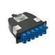 Panduit FC29N-24-10U