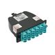 Panduit FC2XN-24-10AS